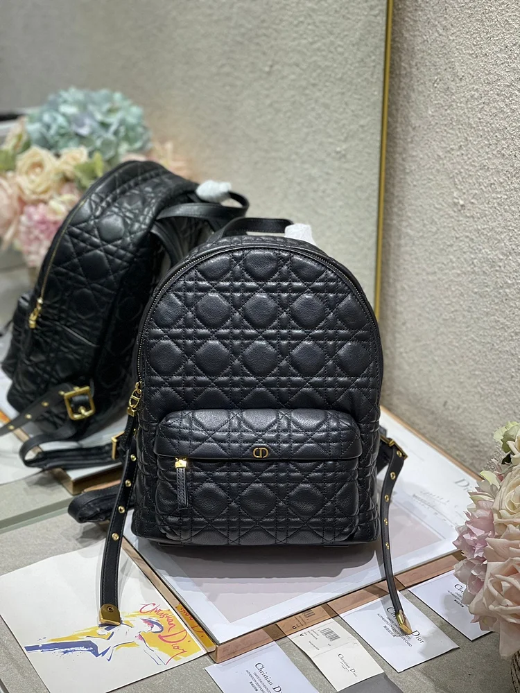 CD Backpack